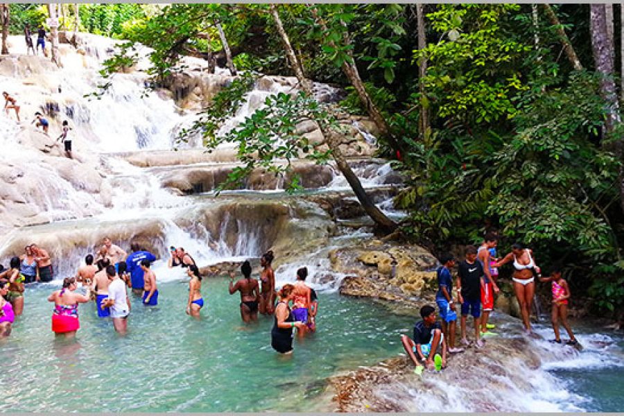Dunns River Falls Tour