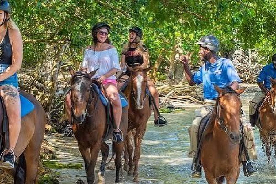 Horse Back Riding Tour